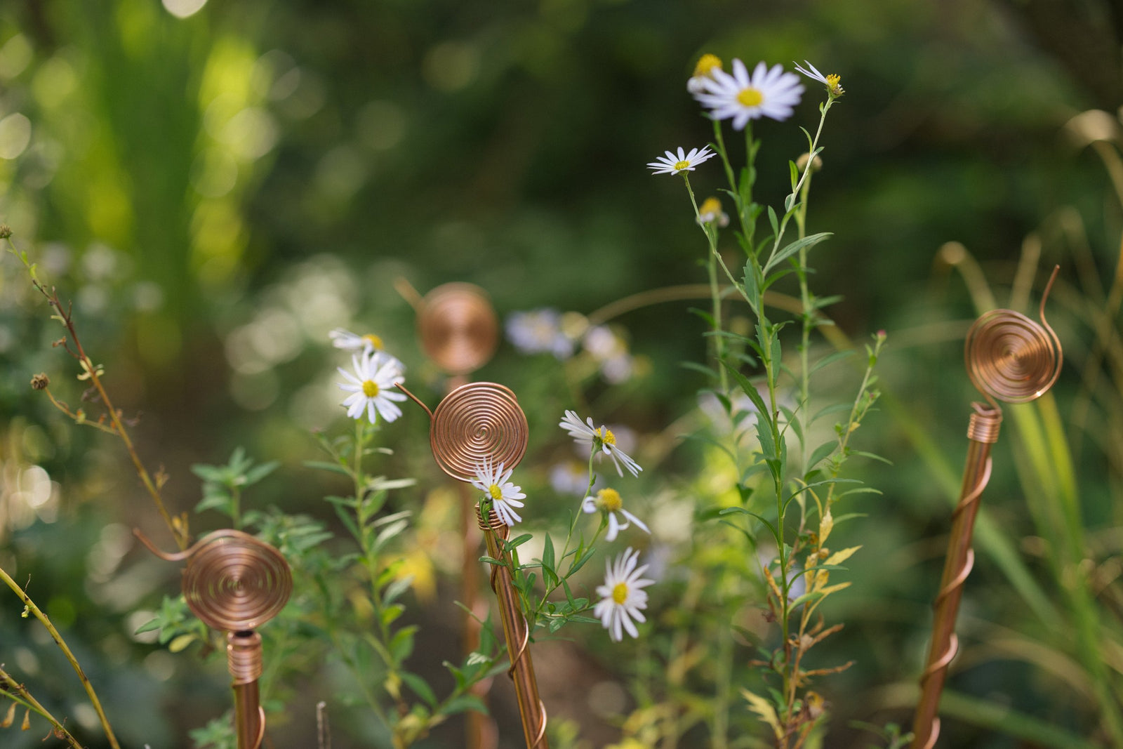 Vier koperen elektrocultuur-antennes tussen groene planten in de tuin