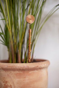 Kopero Elektrocultuur 30 cm koperen antenne in een terracotta pot met siergras