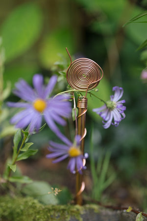 Kopero Elektrocultuur 30 cm, tussen paarse asters in een plantenbak