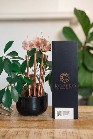 Kopero Elektrocultuur 30 cm, met de zwarte merkdoos, naast een kamerplant
