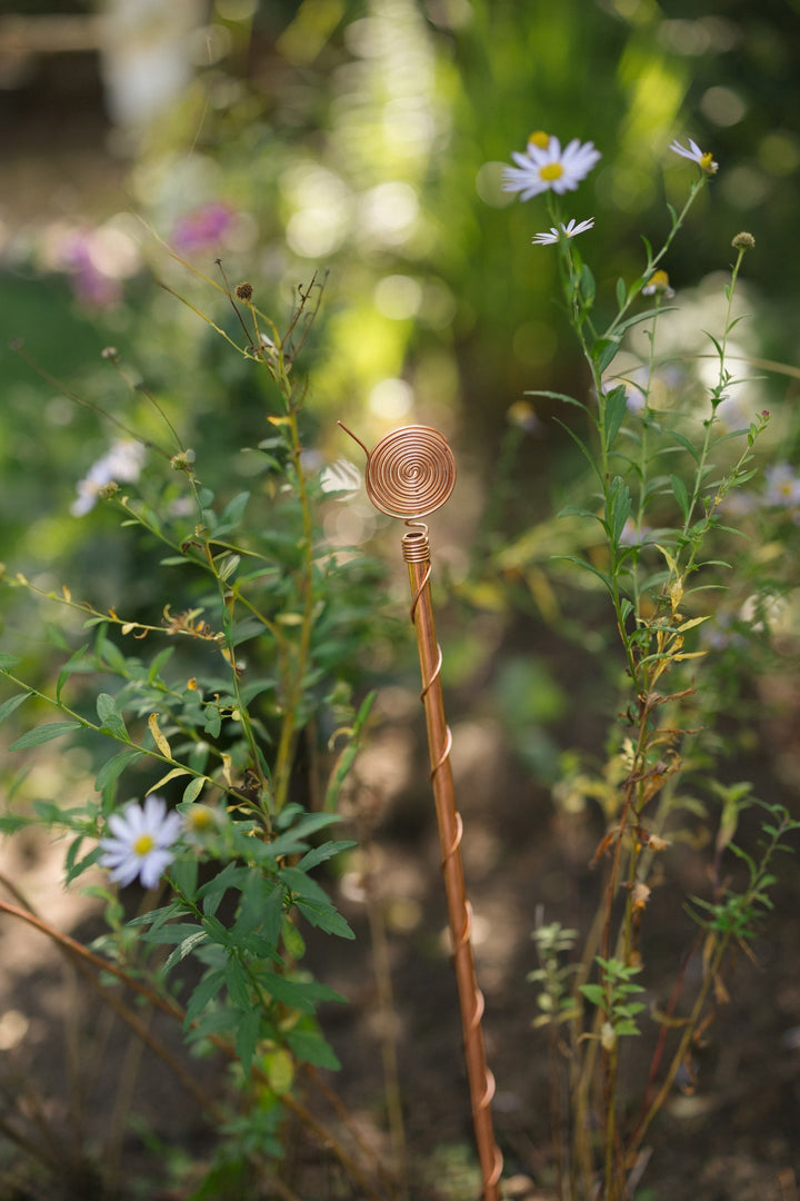Kopero Elektrocultuur 60 cm, één antenne tussen wilde bloemen in de tuin