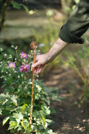 Kopero Elektrocultuur 60 cm, een hand schuift de antenne in de border